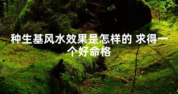 种生基风水效果是怎样的 求得一个好命格